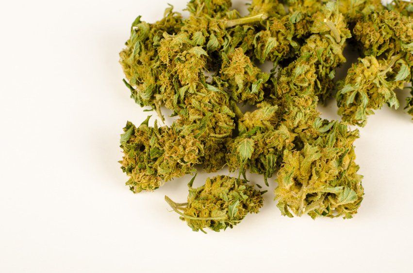 Read more about the article Oregon Makes It Harder for Feds to Bust Recreational Weed Smokers