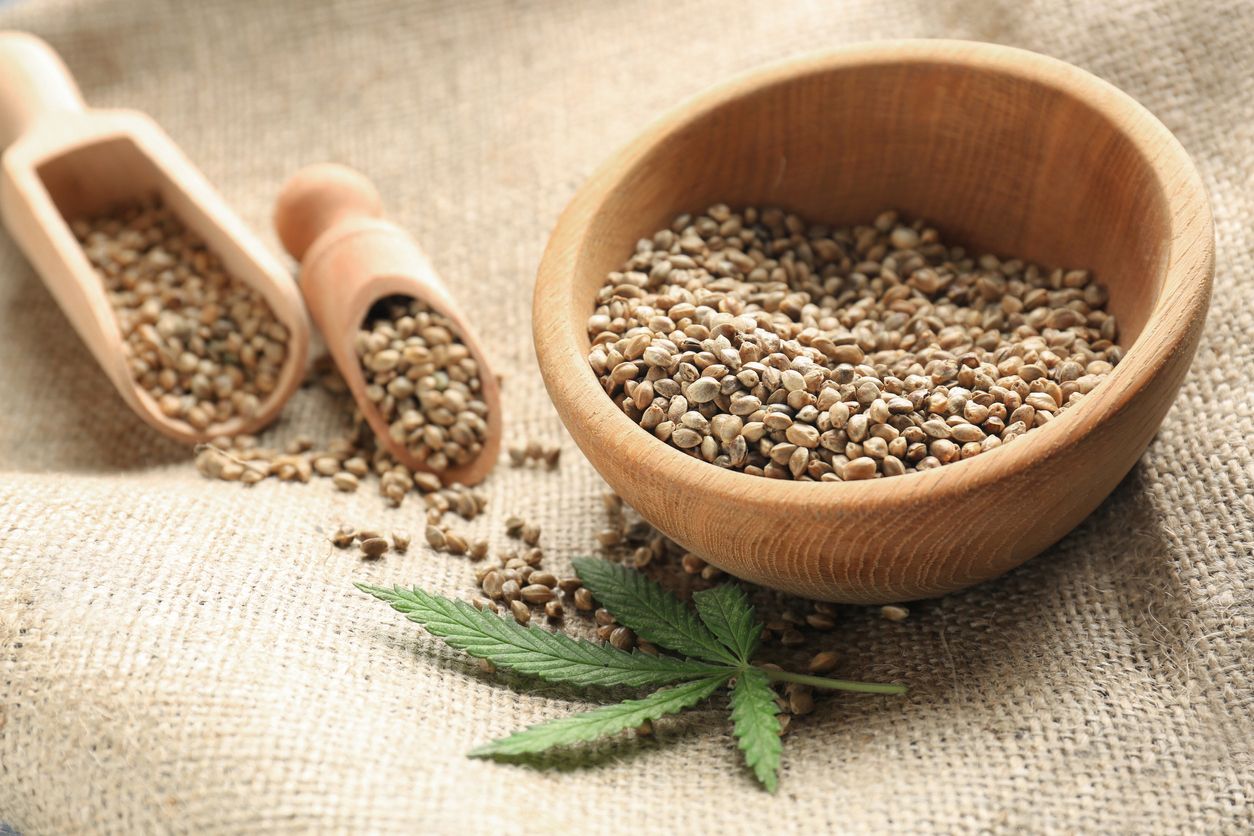 You are currently viewing Important Facts About Hemp Seeds