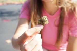 Read more about the article Where to Start When You’re New to Cannabis