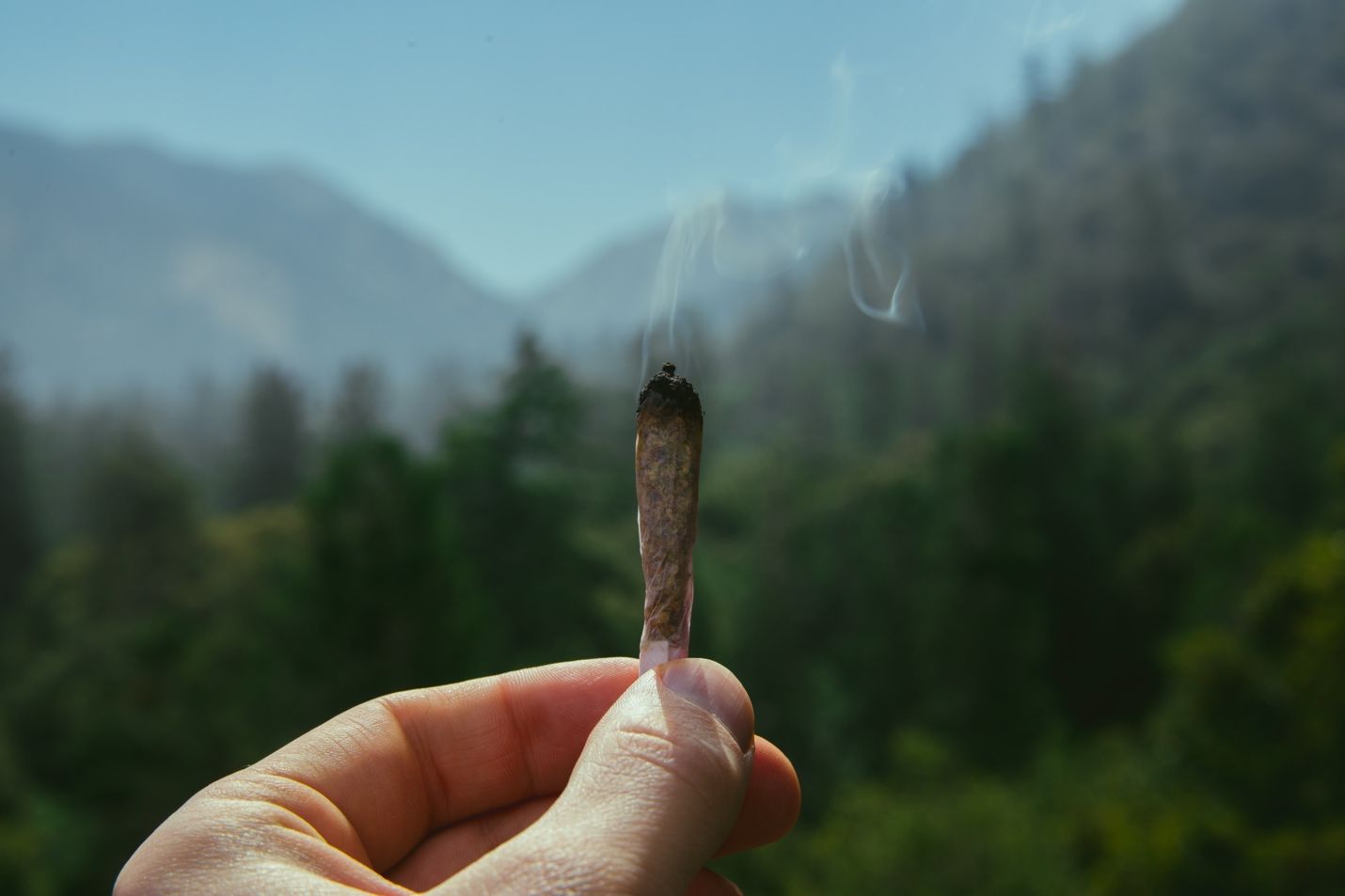 You are currently viewing 3 Awesome Things to Do While High on Sativa Cannabis