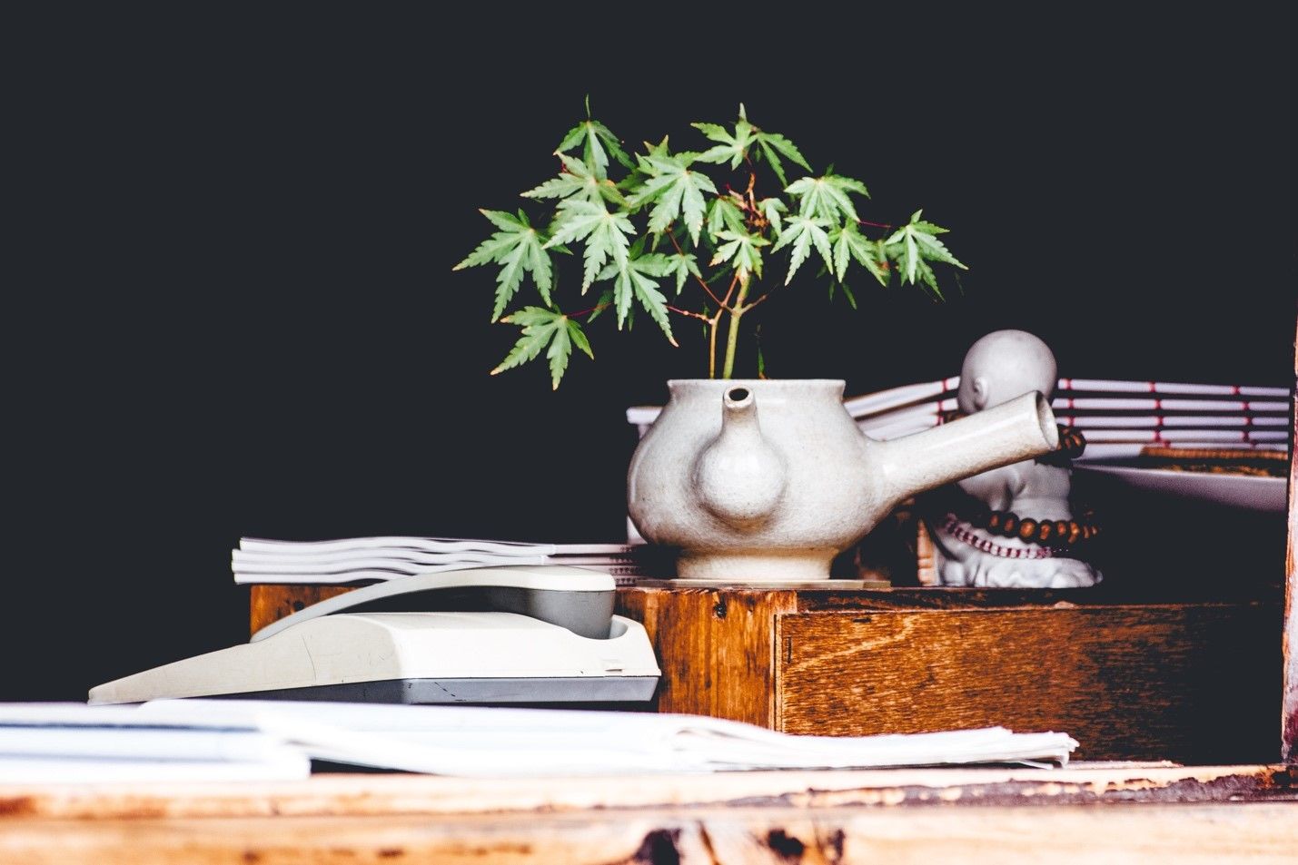 Read more about the article Greeley Gallery’s 5 Favorite Cannabis Health Benefits