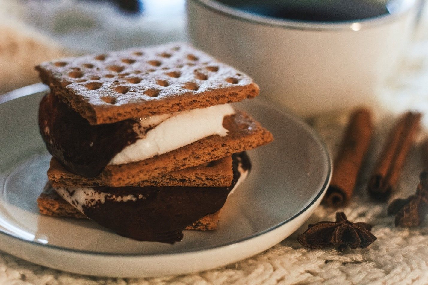 You are currently viewing Easiest Way to Make Cannabis Smore Edibles