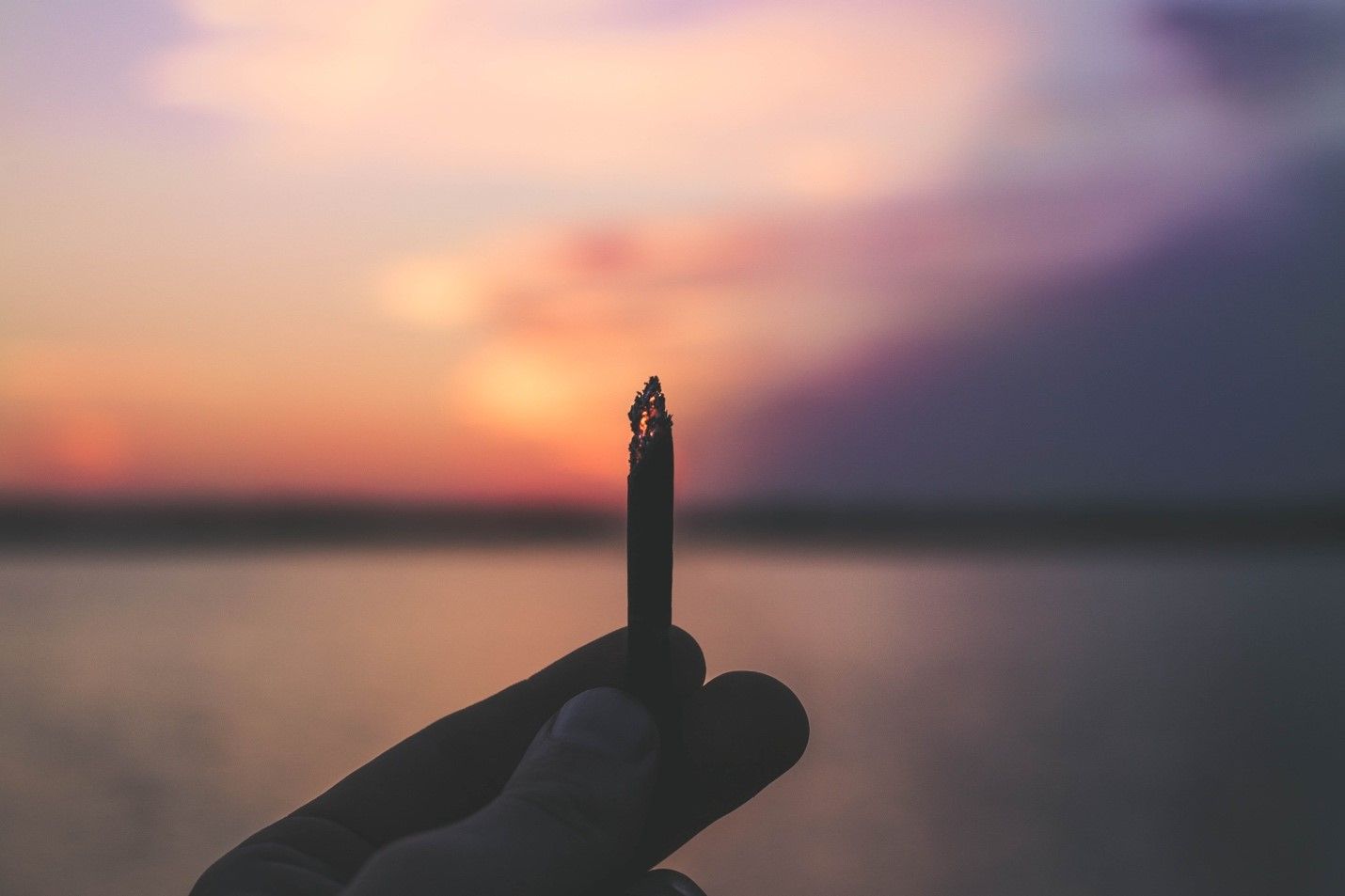 You are currently viewing Cannabis Can Help You Achieve These 3 Common New Year’s Resolutions